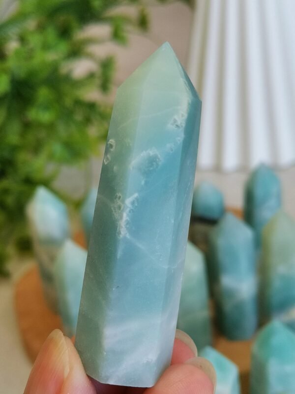 Natural Caribbean calcite tower
