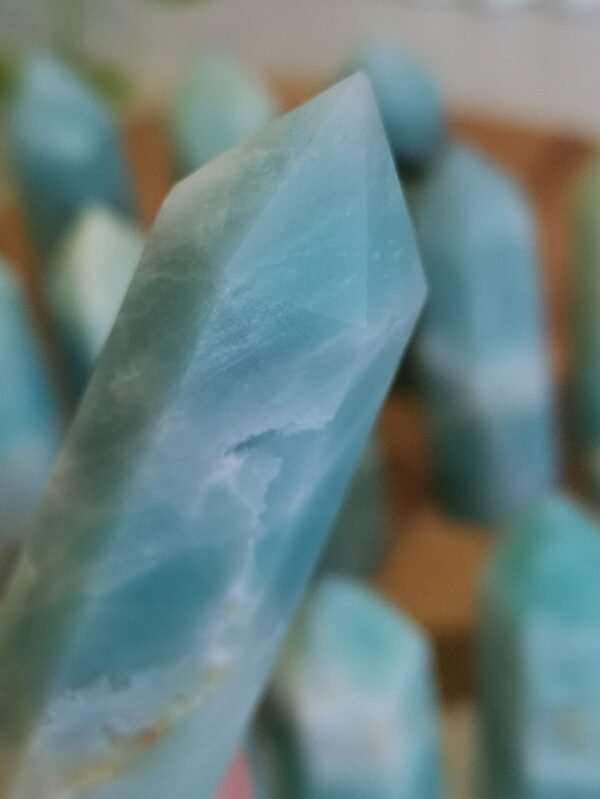 Natural Caribbean calcite tower