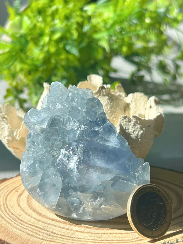 Blue natural celestine druse • Crystal