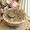 Agate bowl with golden flower-shaped druzy • Elegant decoration