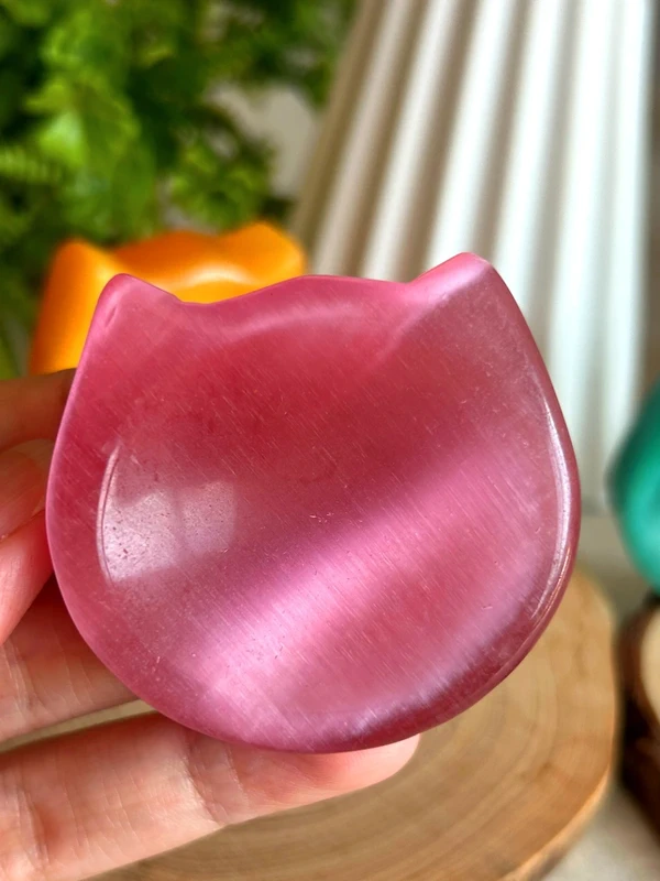 Cat face shaped cat eye tray