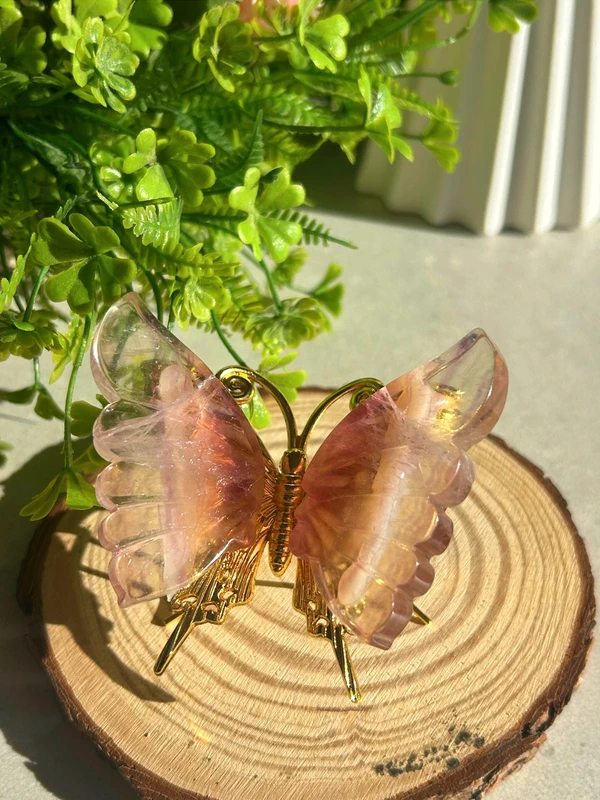 Mariposa de fluorita arcoíris natural • Cristal