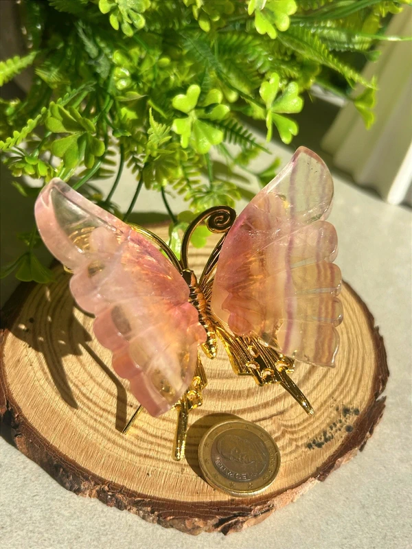 Mariposa de fluorita arcoíris natural • Cristal