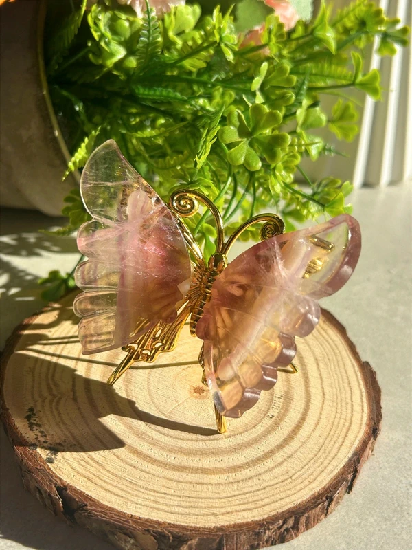 Mariposa de fluorita arcoíris natural • Cristal