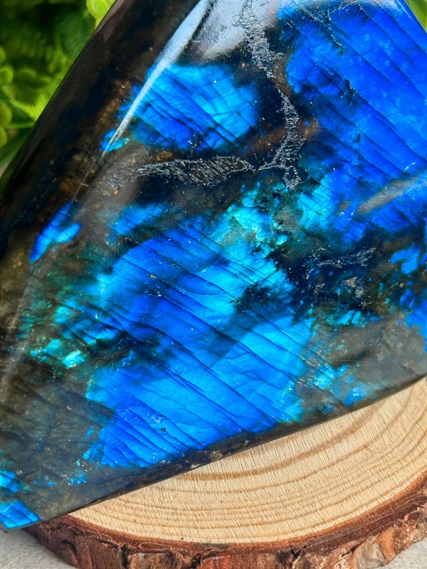 1776630817-1.webp Intense Blue Labradorite Decorations