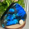 1776630817.webp Intense Blue Labradorite Decorations