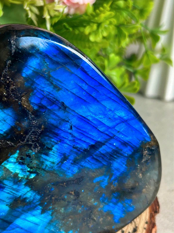 1776630817-2.webp Intense Blue Labradorite Decorations