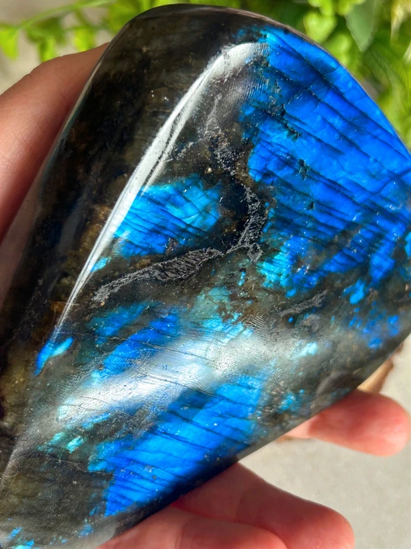1776630817-3.webp Intense Blue Labradorite Decorations