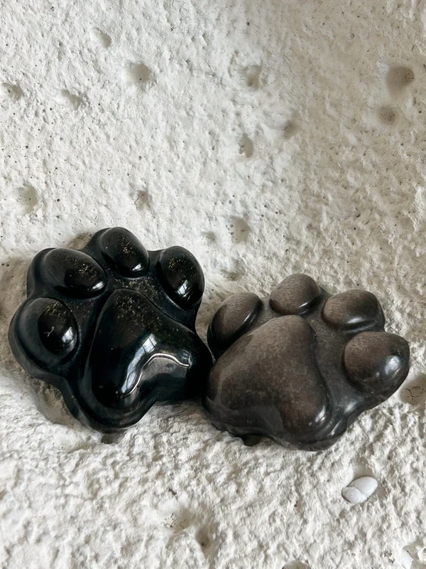 Pet paw print • Gold and silver obsidian