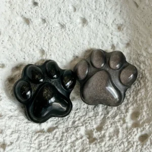 Huella de mascota • Obsidiana dorada y plateada