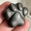 Pet paw print • Gold and silver obsidian