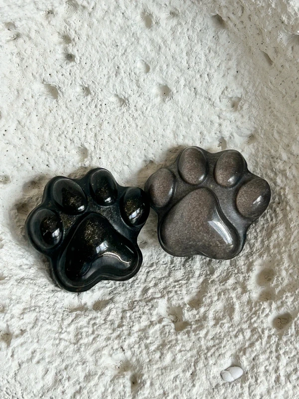 Pet paw print • Gold and silver obsidian