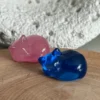 Sleeping cat • cat's eye effect • glass
