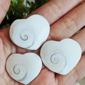 Corazones de Shiva • Ojo de Venus