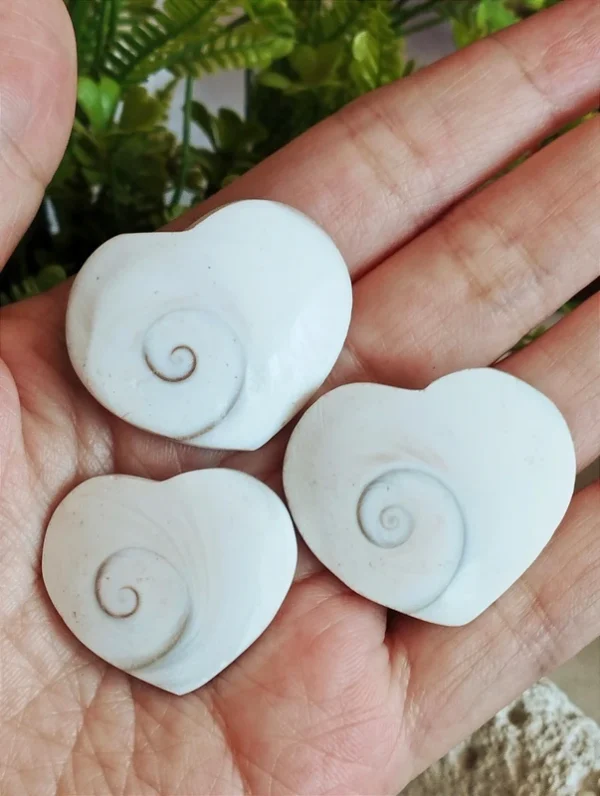 Shiva Hearts • Eye of Venus (set of 3)