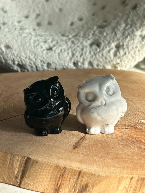 Owls in Obsidian and Howlite. Natural