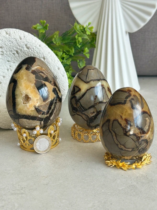 Natural septarian dragon egg