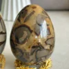 Natural septarian dragon egg
