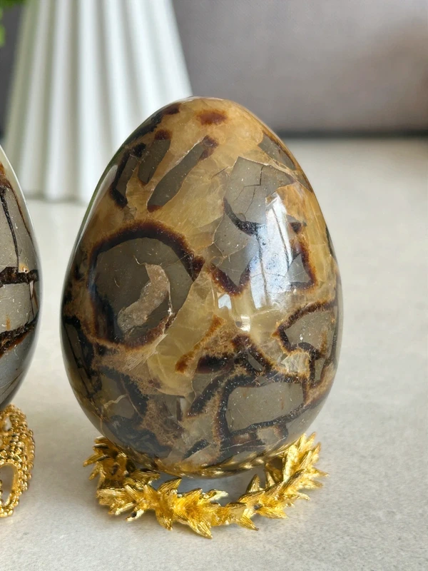 Natural septarian dragon egg