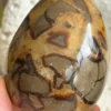 Natural septarian dragon egg