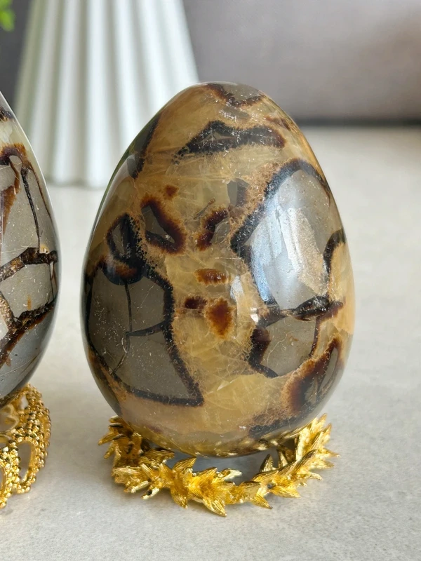 Natural septarian dragon egg