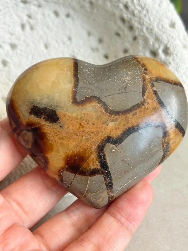 1777810719-4.webp Large Natural Septarian Dragon Heart