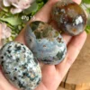 Piedras de palma en cristal de jaspe oceánico