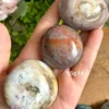 Piedras de palma en jaspe marino natural