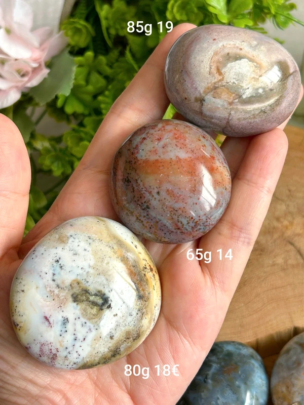 Piedras de palma en jaspe marino natural