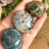 Piedras de palma en jaspe marino natural