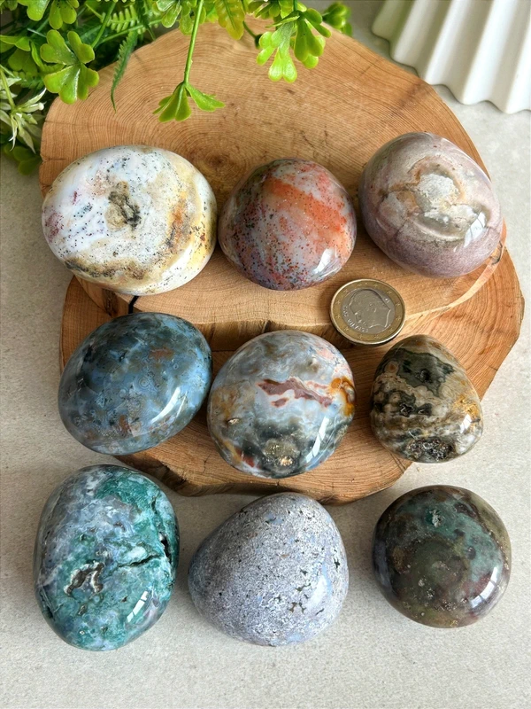 Piedras de palma en jaspe marino natural