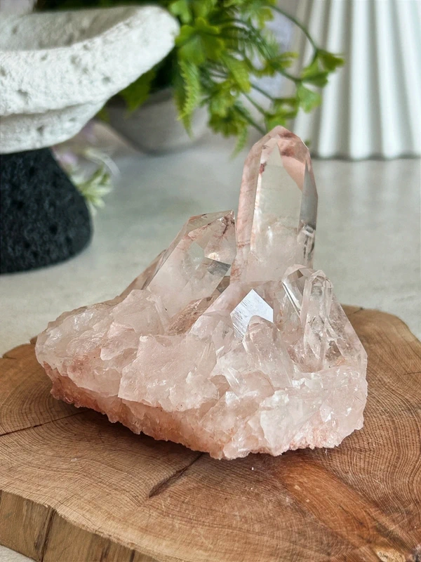 Rose quartz druse • Transparent main crystal