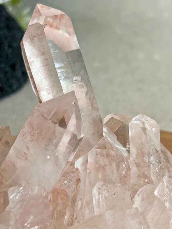 Rose quartz druse • Transparent main crystal