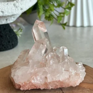 Drusa de cuarzo rosado • Cristal principal transparente