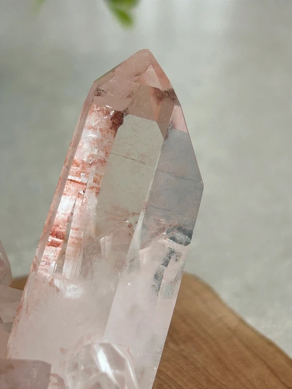 Rose quartz druse • Transparent main crystal