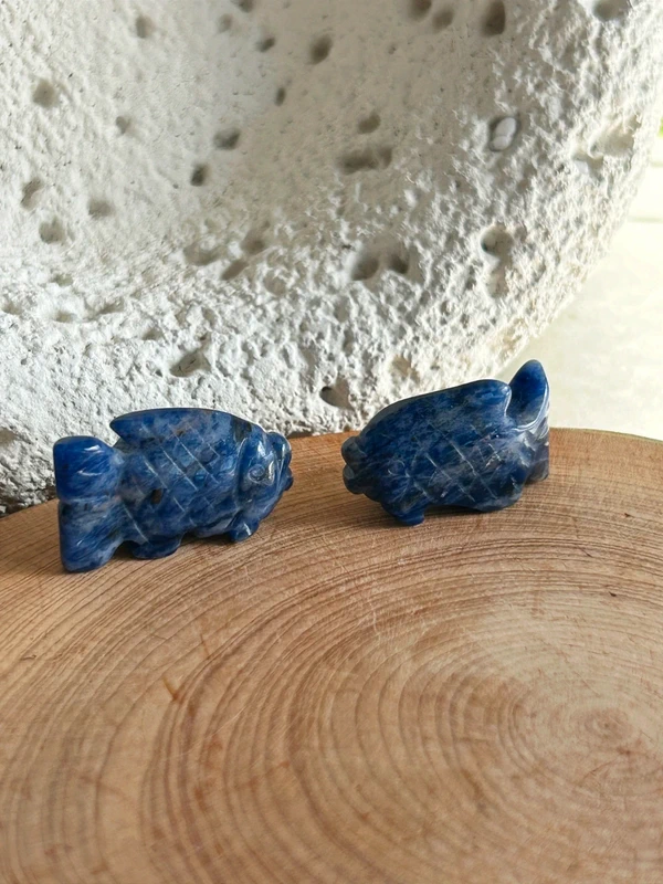 Blue sodalite fish
