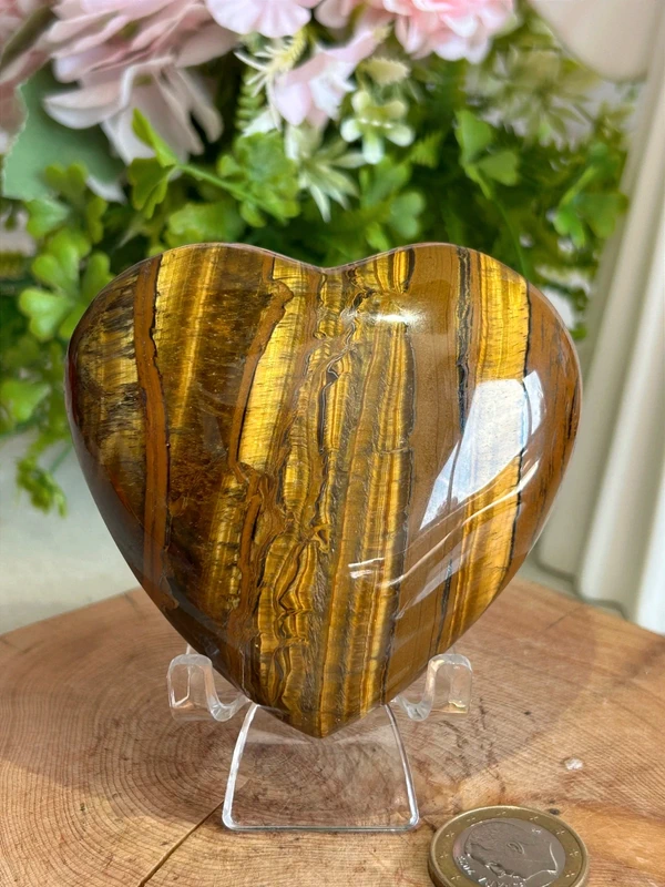 Corazón de ojo de tigre Grande