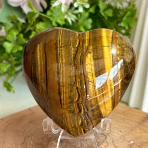 Corazón de ojo de tigre Grande