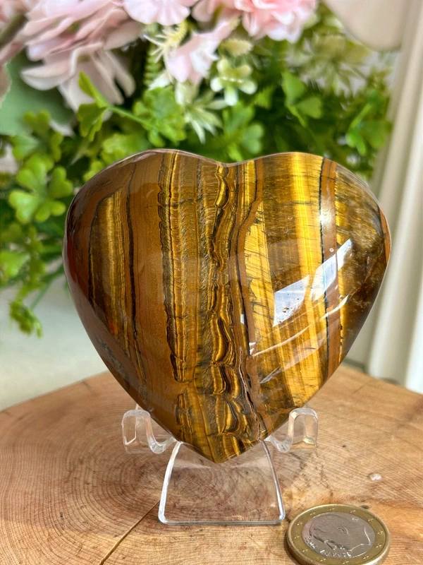 Corazón de ojo de tigre Grande