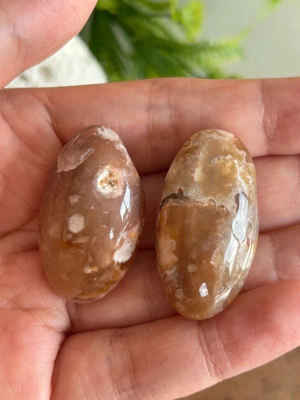 Natural Sakura Flower Agates