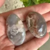 Natural Sakura Flower Agates • Blue-gray hue