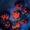 Ruby Garden Natural 🌿 “7 Stars” UV-Reactive Sphere Set