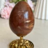 Petrified Wood Egg 🪵 fossil wood natural
