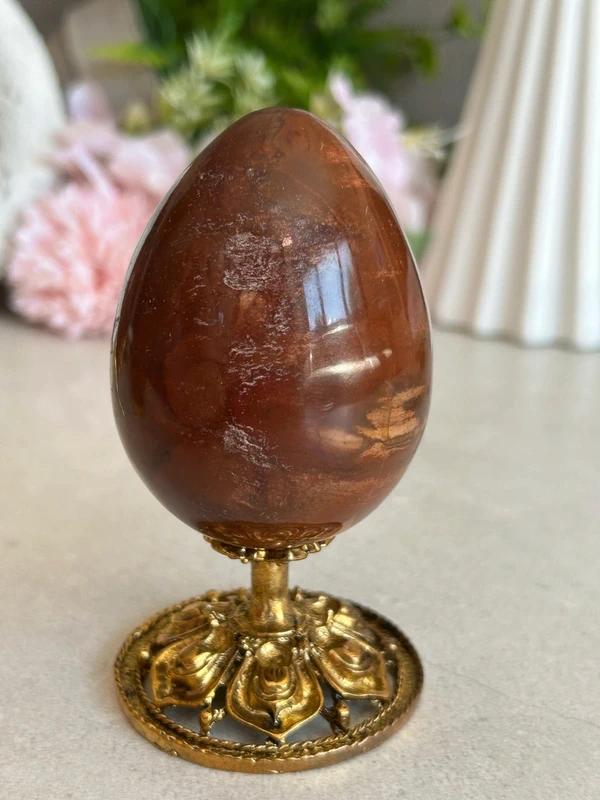 Petrified Wood Egg 🪵 fossil wood natural