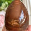 Petrified Wood Egg 🪵 fossil wood natural