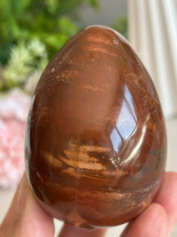 Petrified Wood Egg 🪵 fossil wood natural