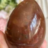Petrified Wood Egg 🪵 fossil wood natural