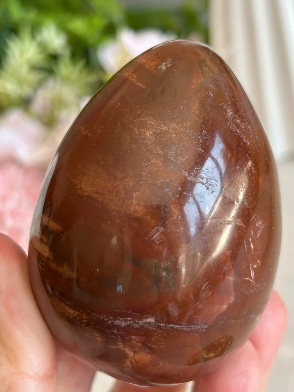Petrified Wood Egg 🪵 fossil wood natural