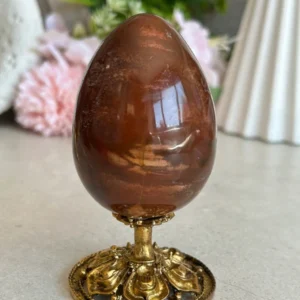 Petrified Wood Egg 🪵 fossil wood natural