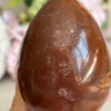 Petrified Wood Egg 🪵 fossil wood natural
